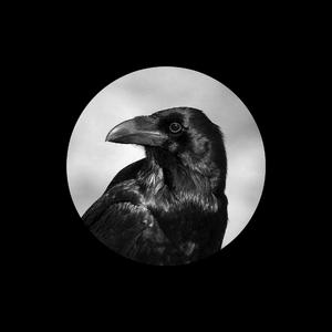 68日本XXXXXⅩXXX59免费的
