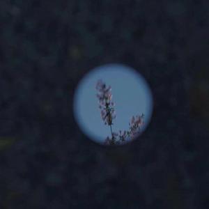 68日本XXXXXⅩXXX59免费的
