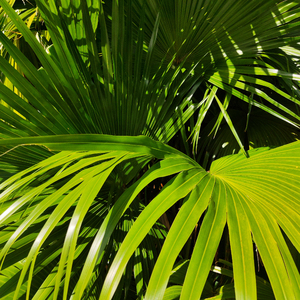 68日本XXXXXⅩXXX59免费的
